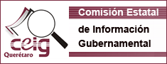 Comision Estatal de Informacion Gubernamental